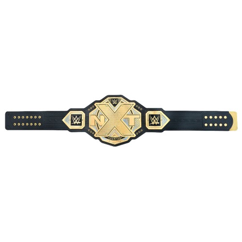 WWE NXT 챔피언쉽 아크릴 벨트