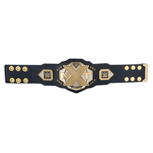 NXT 챔피언쉽2018 미니 레플리카 타이틀