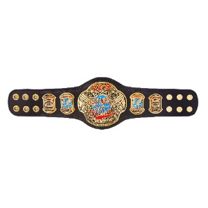 ECW 월드 헤비웨이트 챔피언쉽 미니 레플리카 벨트